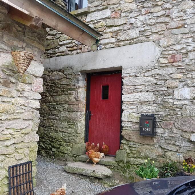 Kingsford Renovated Old Cottage Wexford Exterior foto